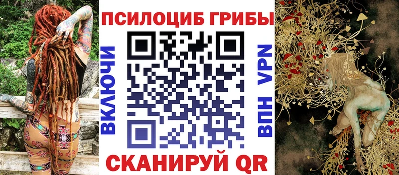 Купить закладки  Тимашёвск  Псилоцибиновые грибы прущие грибы 